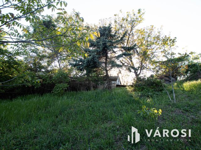 Családi ház a termálfürdő közelében